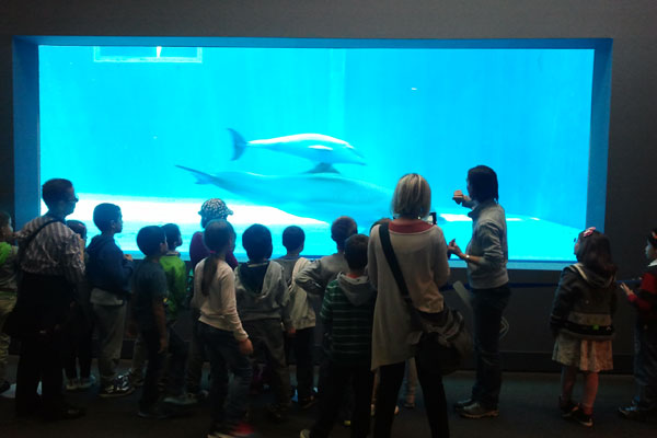 Acquario di Genova